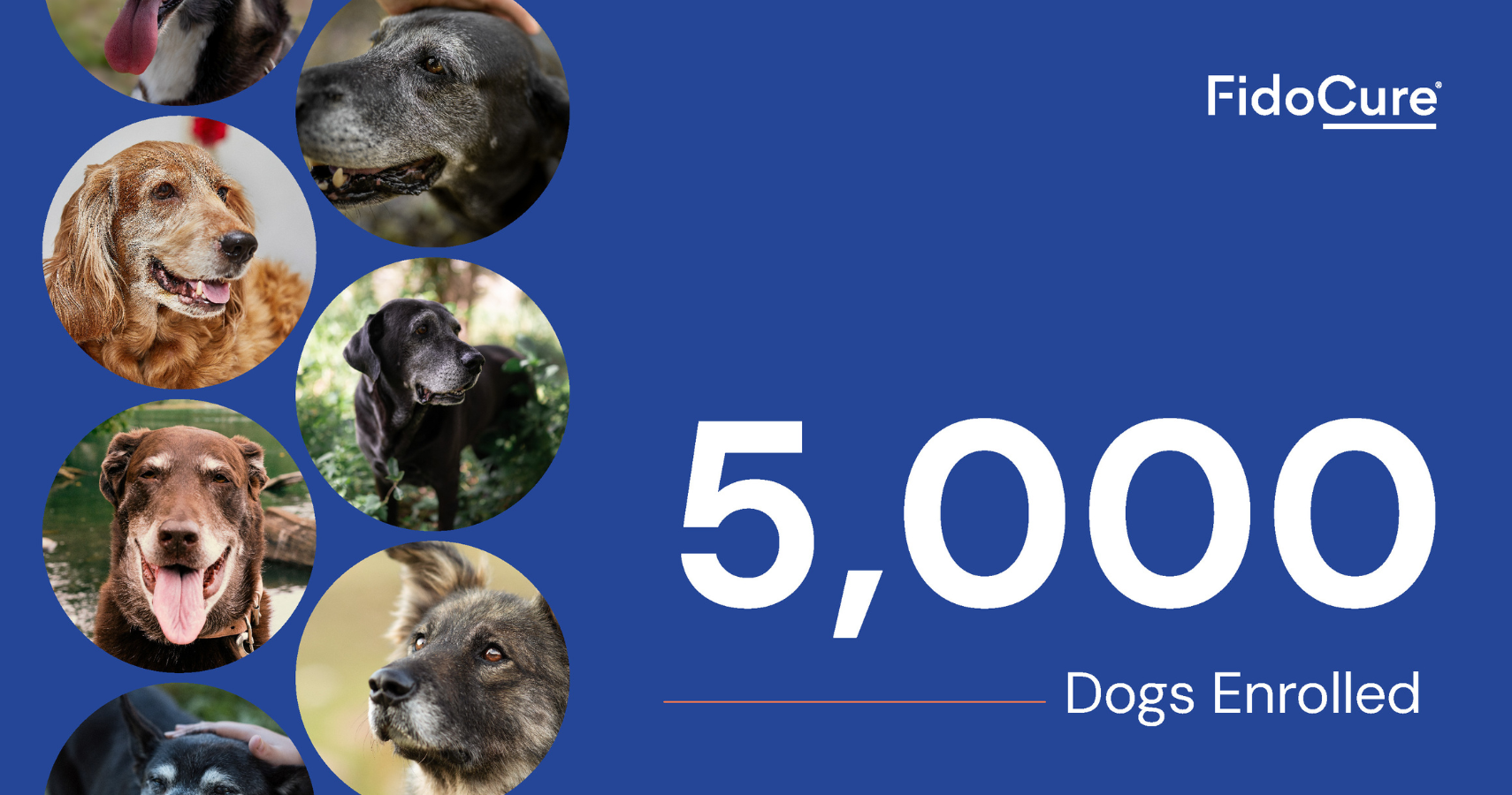 Twitter banner 5000 cases